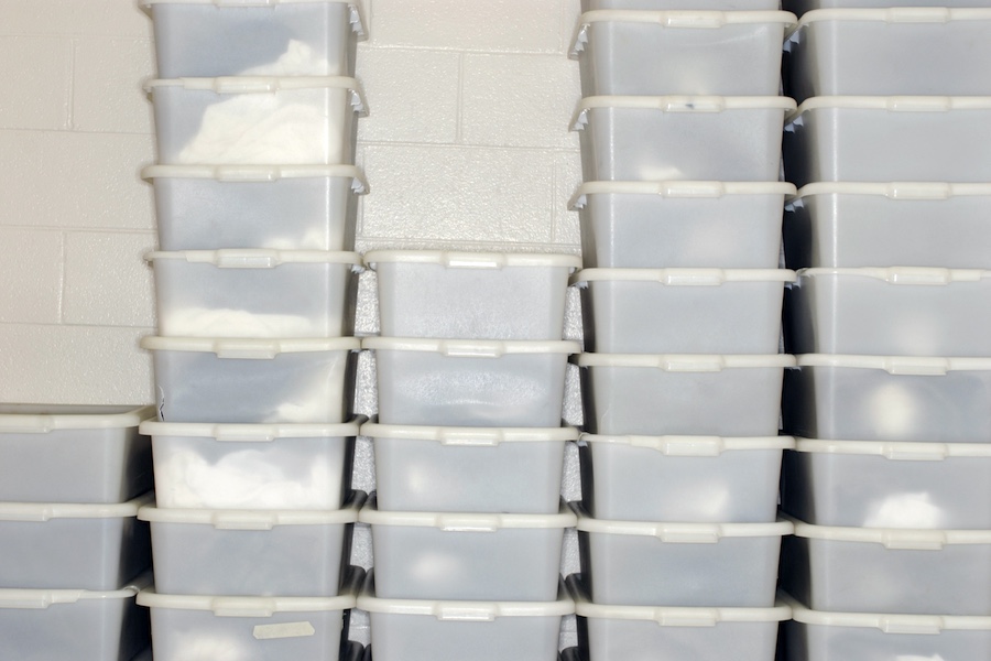 Storing things in plastic containers storing things in plastic containers